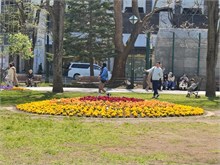 023-Sapporo-0505