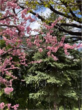 045-Sapporo-0505
