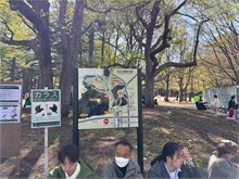 065-Sapporo-0505