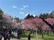 074-Sapporo-0505