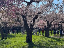 079-Sapporo-0505