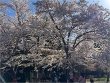 082-Sapporo-0505