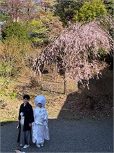 089-Sapporo-0505