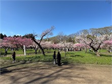 008-Maruyama-Park