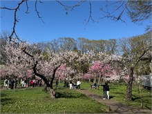010-Maruyama-Park