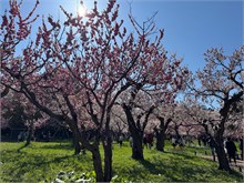 014-Maruyama-Park