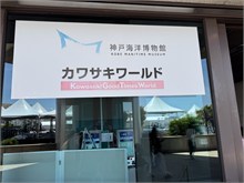 042-Kobe