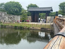 009-Hemeji