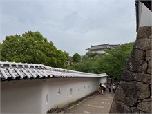 016-Hemeji