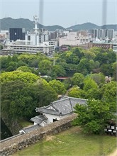 023-Hemeji