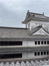 026-Hemeji