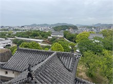 038-Hemeji
