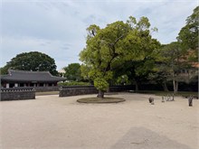 007-Jeju-Island