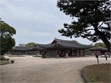 010-Jeju-Island