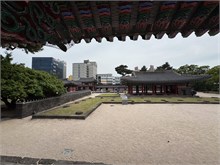 024-Jeju-Mok
