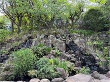005-Glover-Gardens