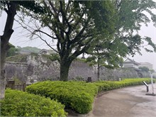 075-Kagoshima
