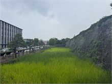 078-Kagoshima