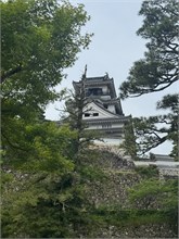 009-Kochi-Castle