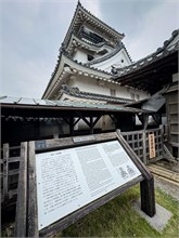 015-Kochi-Castle