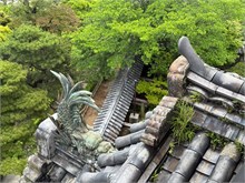 030-Kochi-Castle