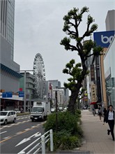 055-Nagoya