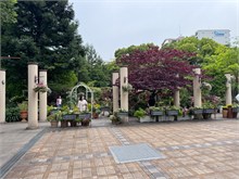 067-Nagoya