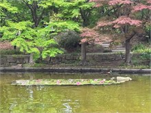 071-Nagoya