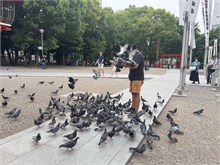 104-Nagoya