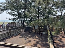 004-Shimizu-Hogoromo-Matsu
