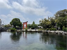 033-Mt-Fuji-1