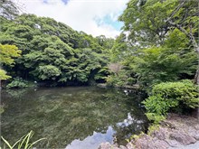 019-Fujisan-Hongu-Sengen-Taisha