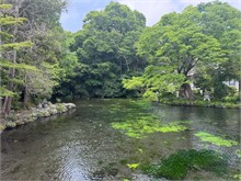 022-Fujisan-Hongu-Sengen-Taisha