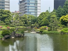 031-Tokyo