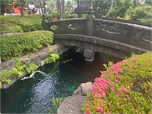 101-Tokyo