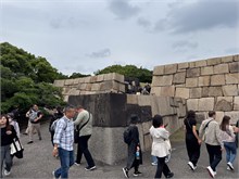 238-Tokyo