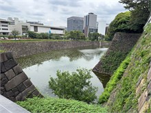 241-Tokyo
