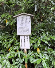 281-Tokyo