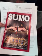 014-Sumo-Tournament