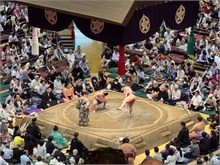 029-Sumo-Tournament