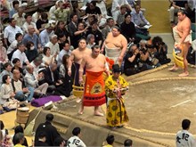 030-Sumo-Tournament