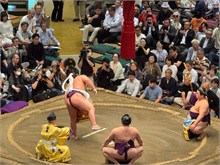 034-Sumo-Tournament