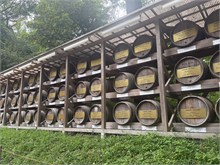 003-Meiji-Shrine