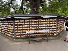 012-Meiji-Shrine