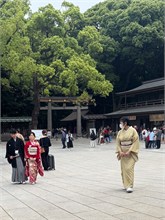 015-Meiji-Shrine