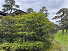 007-East-Gardens