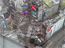 007-Shibuya-Sky