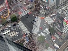 010-Shibuya-Sky