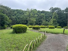 003-Meiji-Jinga