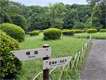 004-Meiji-Jinga